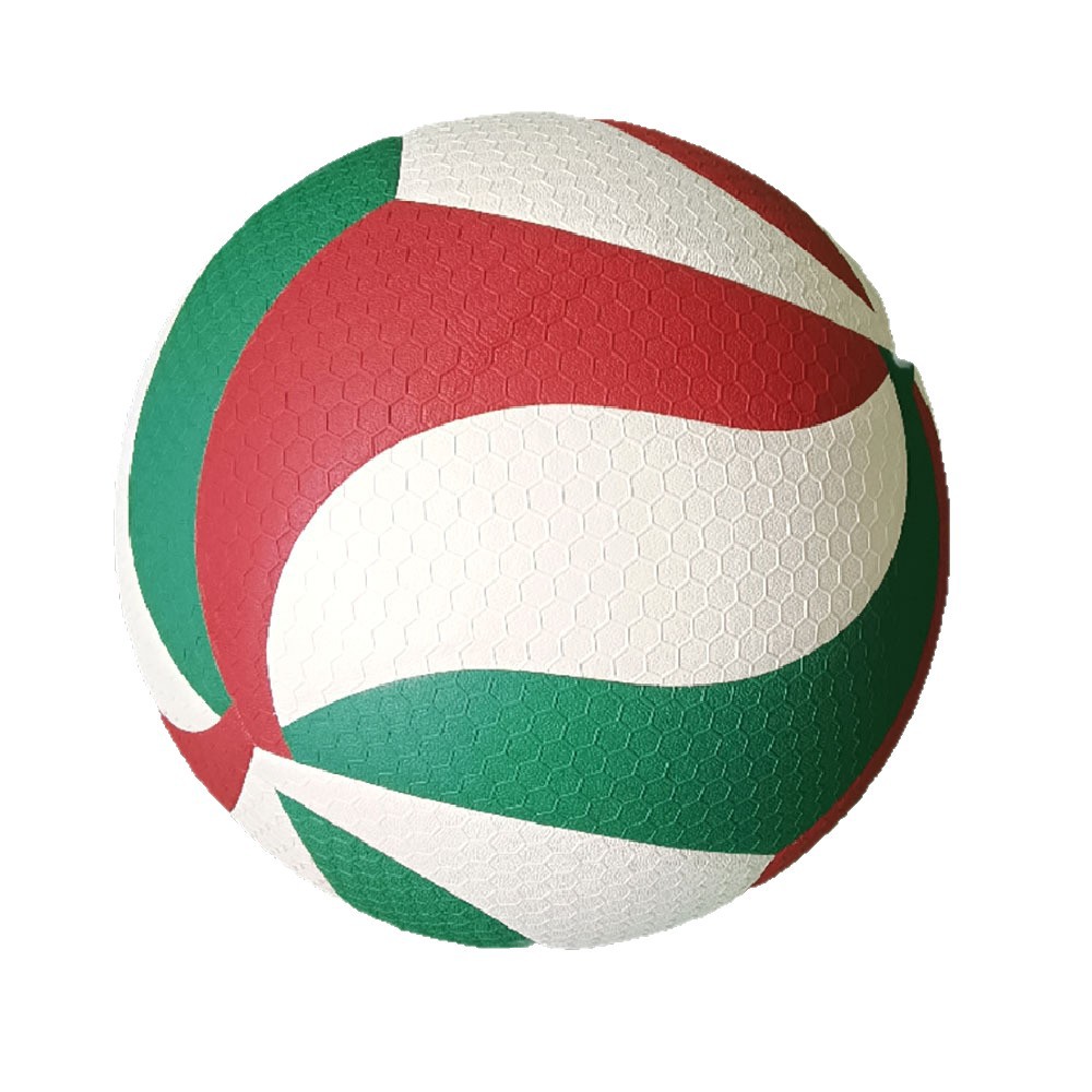 Volley Ball